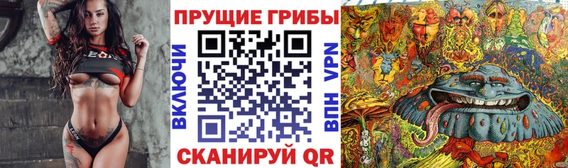 ссылка на мегу ONION  Краснотурьинск  Псилоцибиновые грибы GOLDEN TEACHER 